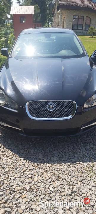 Jaguar xf Sedan / Limuzyna Biłgoraj