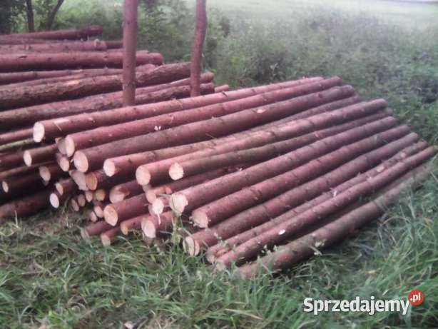 Drewno opałowe transport w cenie