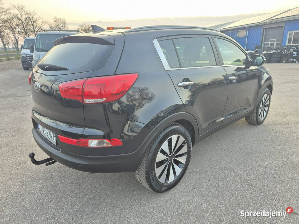 Kia Sportage 20 16v 140 Automat Zarejestrowana w Gniewkowo