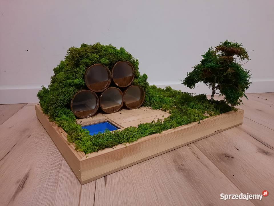 Domek praca plastyczna małopolskie Kraków