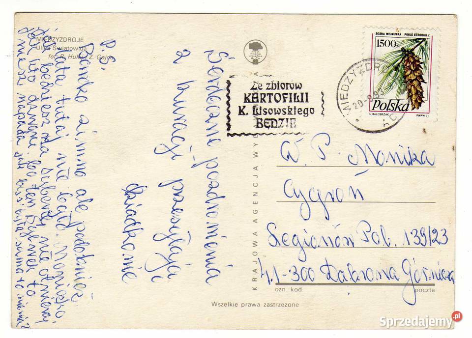 MIĘDZYZDROJE ULICA ŚWIATOWIDA Krynki