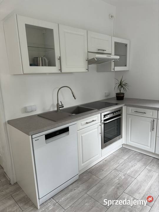 Do wynajęcia dom wolnostojący z ogrodem 3 pokoje blacha Wynajem mazowieckie