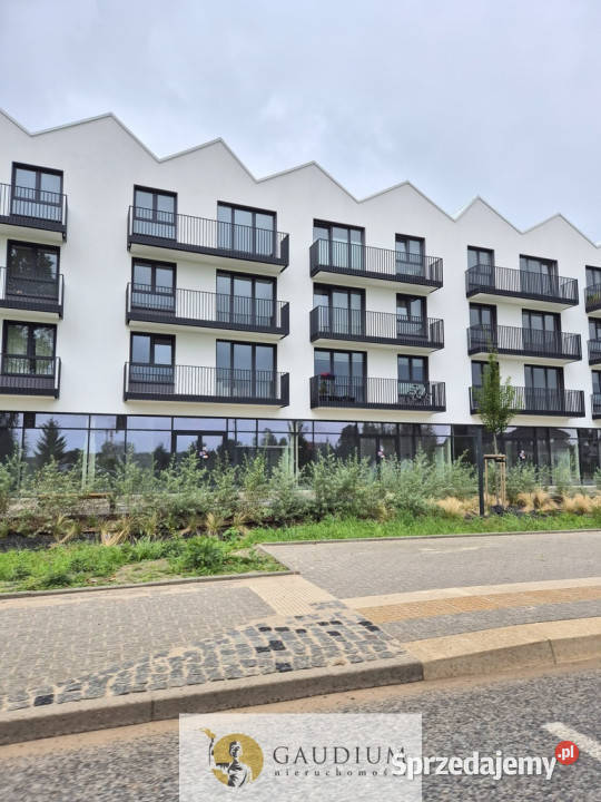 Lokal na wynajem Gdynia ChwarznoWiczlino Wynajem