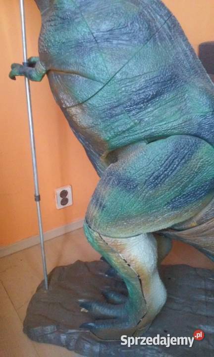 Dinozaur Rex Pozostałe Szczecin sprzedam