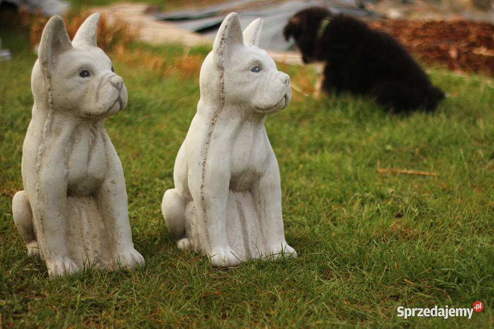 Figury rzeźby ogrodowe betonowe pies Rzeźby i figury Goliszów