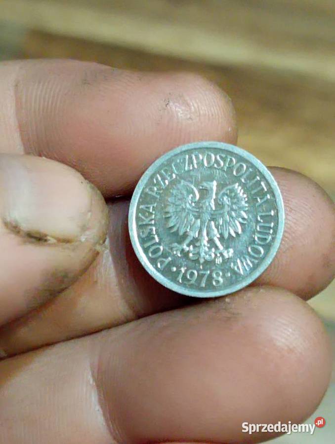 Sprzedam monete 10 geoszy 1978 lubelskie Chełm