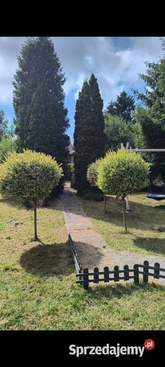 Działka Rod Janiska 400m2 Kołobrzeg