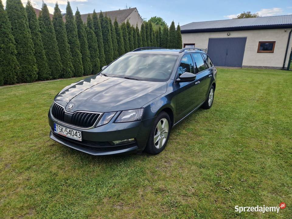 Skoda Octavia 16 Tdi Kombi 2019 Salon Polska