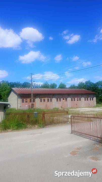 Sprzedam działka inwestycyjna biurowiec magazyny Olesno