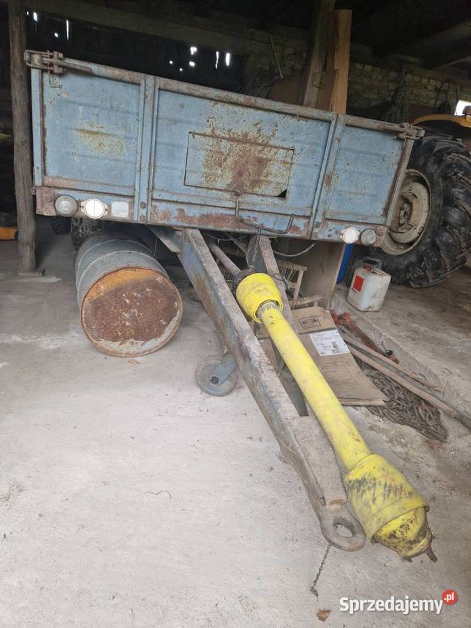 Rozrzutnik podlaskie Szypliszki