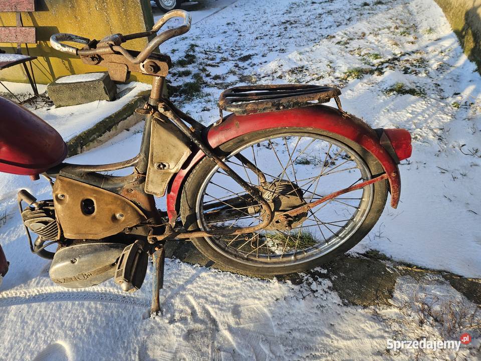 Komar sztywniak 2320 Oryginał Kłodawa