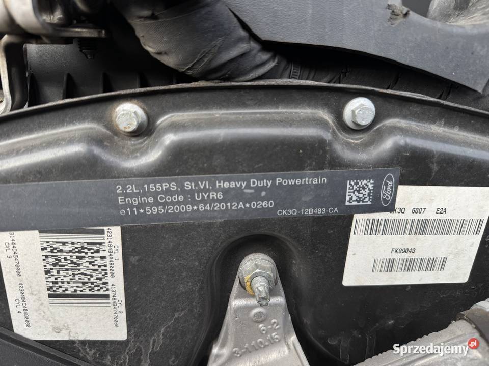 Ford Transit Świeradów-Zdrój