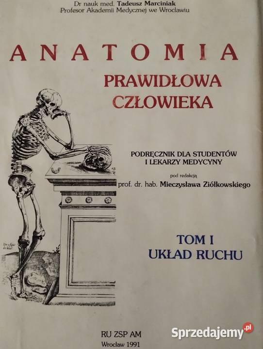 ANATOMIA POPRAWNA CZŁOWIEKA tom 13 Olkusz