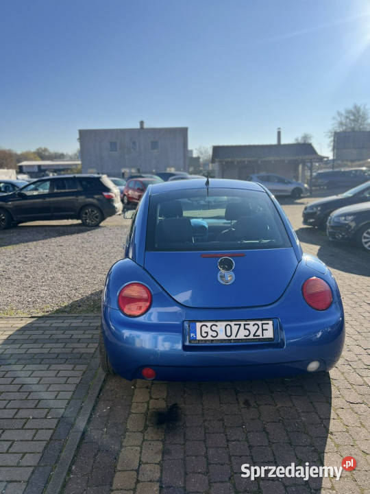 Volkswagen Beetle I 19982010 nieuszkodzony pomorskie Słupsk