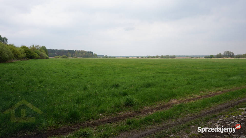 Nieruchomość w Całowaniu rolna mazowieckie Całowanie