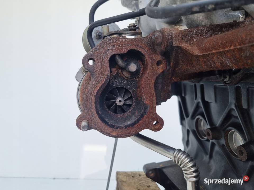 SILNIK Renault Clio II 19 DTI 80 F9Q782 F8T Silniki kompletne lubelskie Rudka