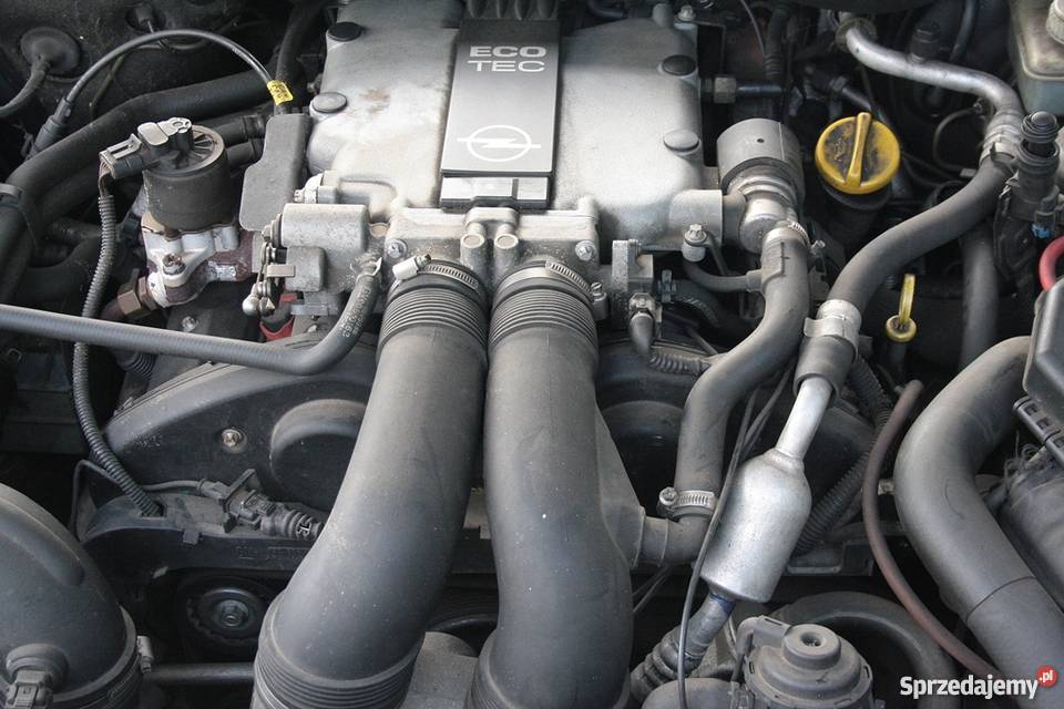 silnik omega b 30 v6 na części Rok produkcji 1996 wielkopolskie Śrem sprzedam