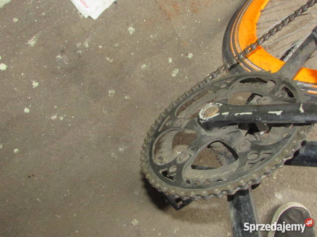 Ostre koło Flip flop fixed Wrocław