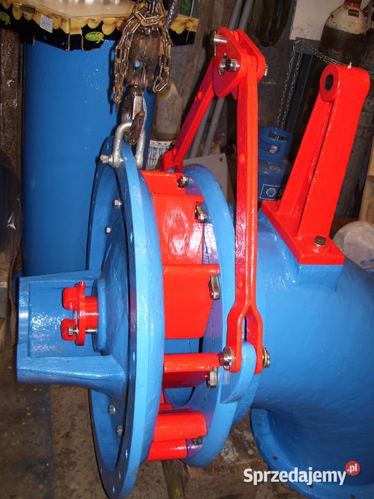 Turbina wodna Francis 450mm elektrownia wodna