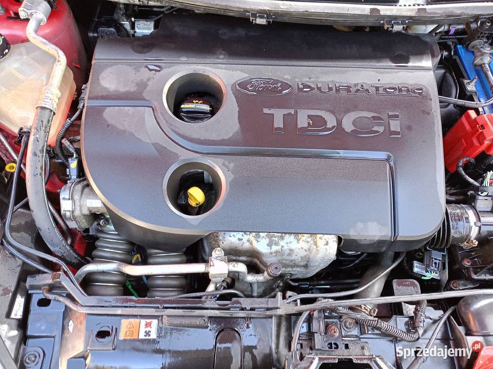 Ford Fiesta 14tdci Klima Hatchback Zamość