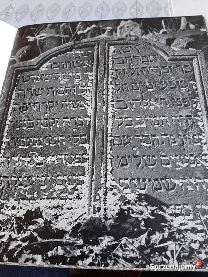 Der alte jdische Friedhof in Prag Stronie Śląskie