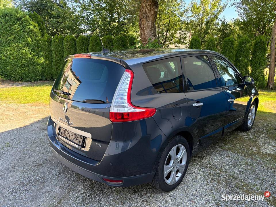 Renault Grand Scenic 7 osób Kraśnik