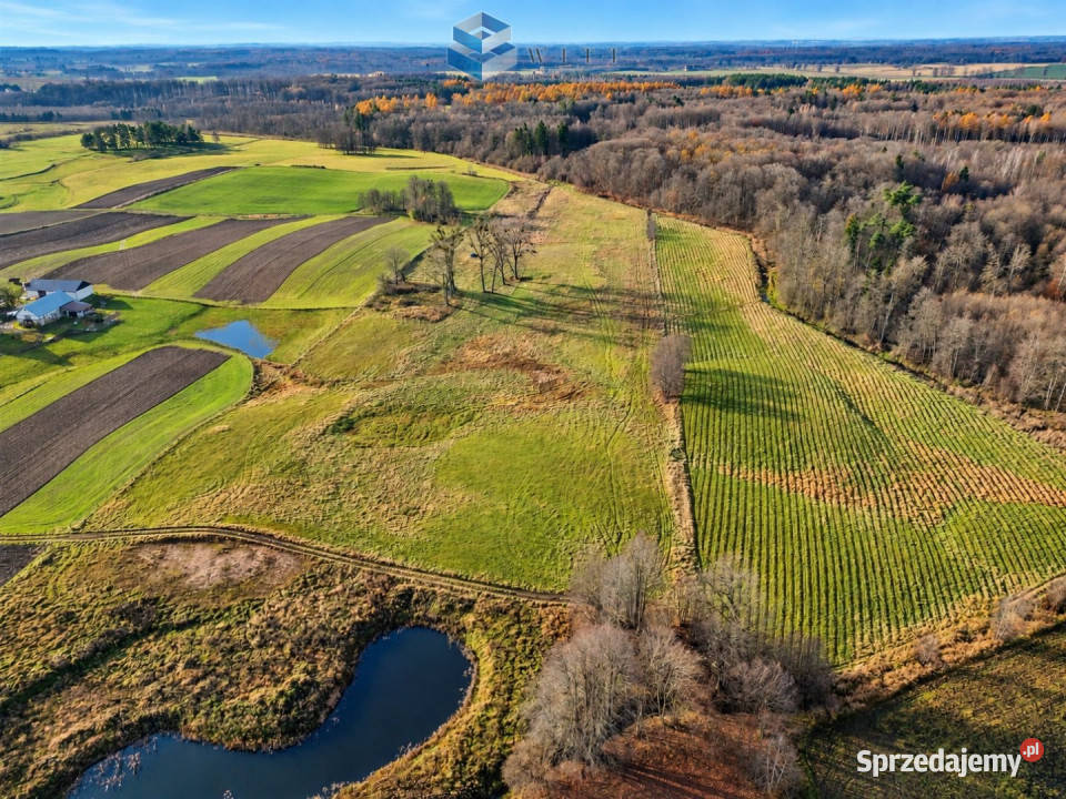 Sprzedam grunt Jędrychówko 53400m2 warmińsko-mazurskie