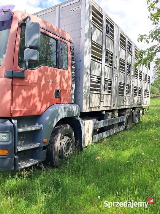 Syndyk sprzeda samochód ciężarowy MAN TGA do wielkopolskie Turek