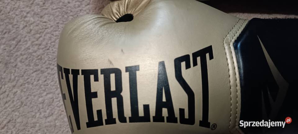 Sprzedam rękawice Everlast Elite 10oz śląskie