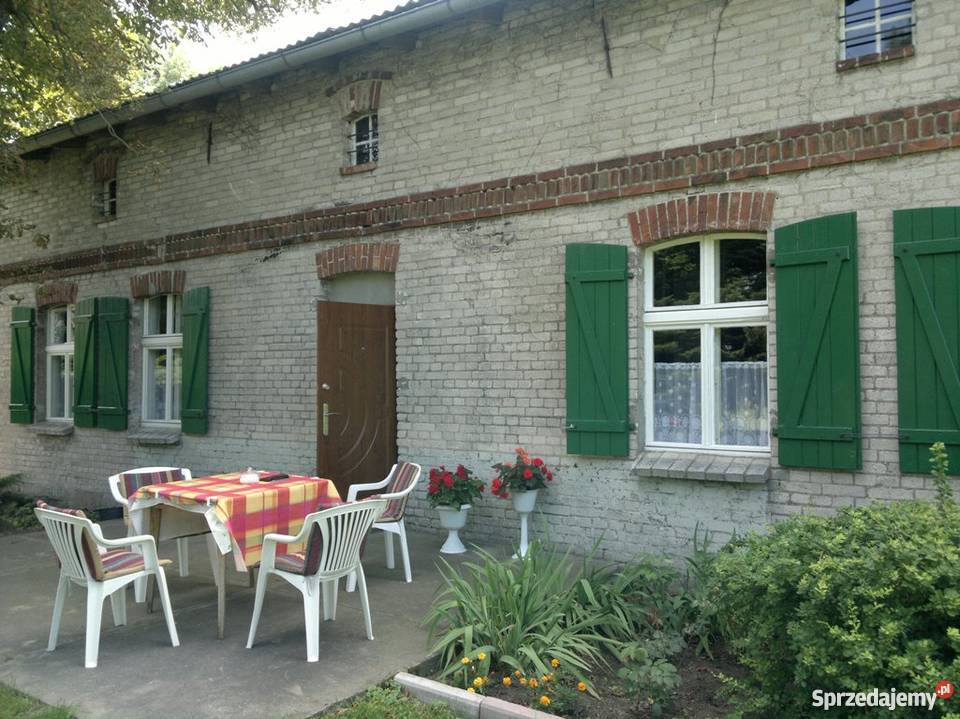 Stary ciekawy dom w Budziszewku duża działka wielkopolskie Budziszewko