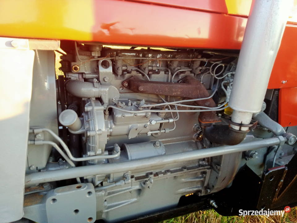 Massey Ferguson 165 silnik Perkins ad 4203 Wiślica sprzedam