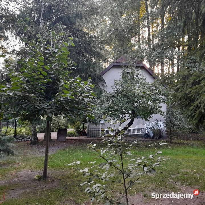 SPRZEDAM DOM OLMONTY wolnostojący podlaskie Białystok