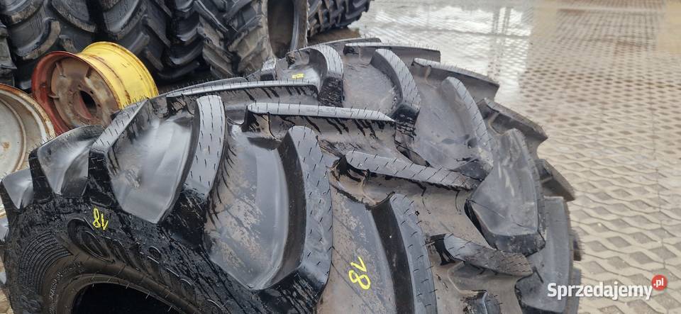 44065r28 38070r28 Continental 2025r Nowe Bydło Nowe Miasto Lubawskie