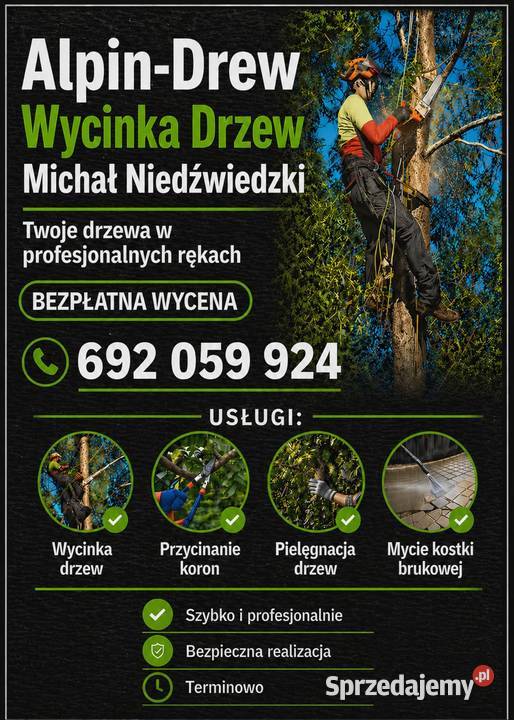 Wycinka przycinka drzew pielęgnacja koszenie Tarnów