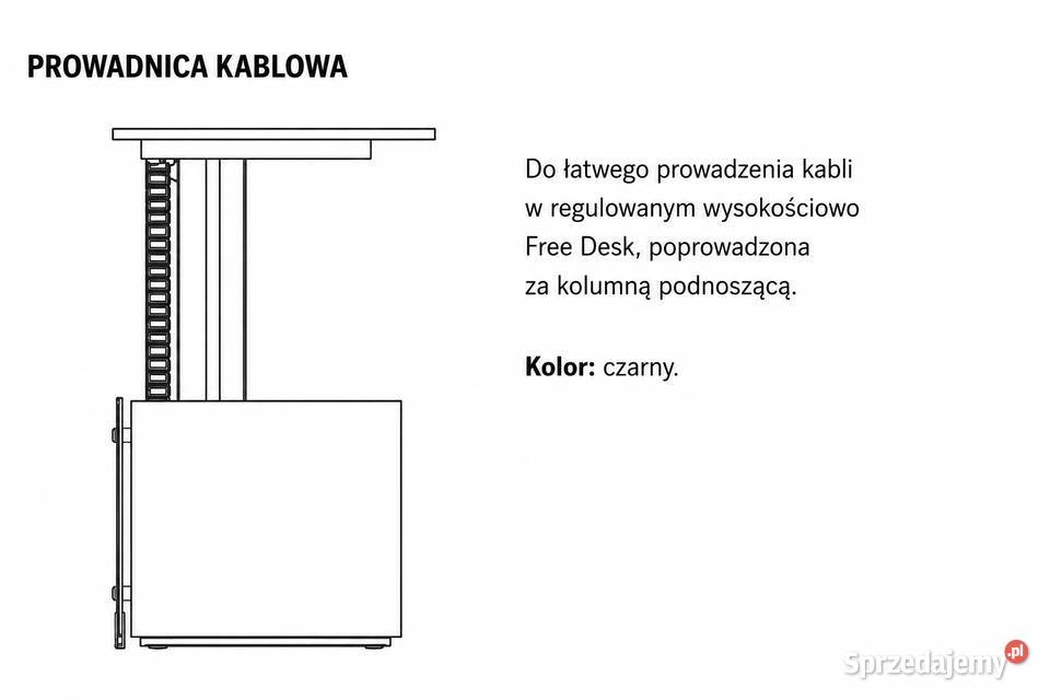 Biurko Gabinetowe Bene Free Desk Buk małopolskie