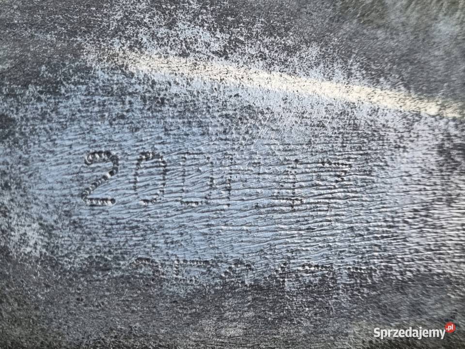 Citroen Berlingo I 19 D SKRZYNIA BIEGÓW 20DM47 Skrzynie biegów manualne lubelskie Janów