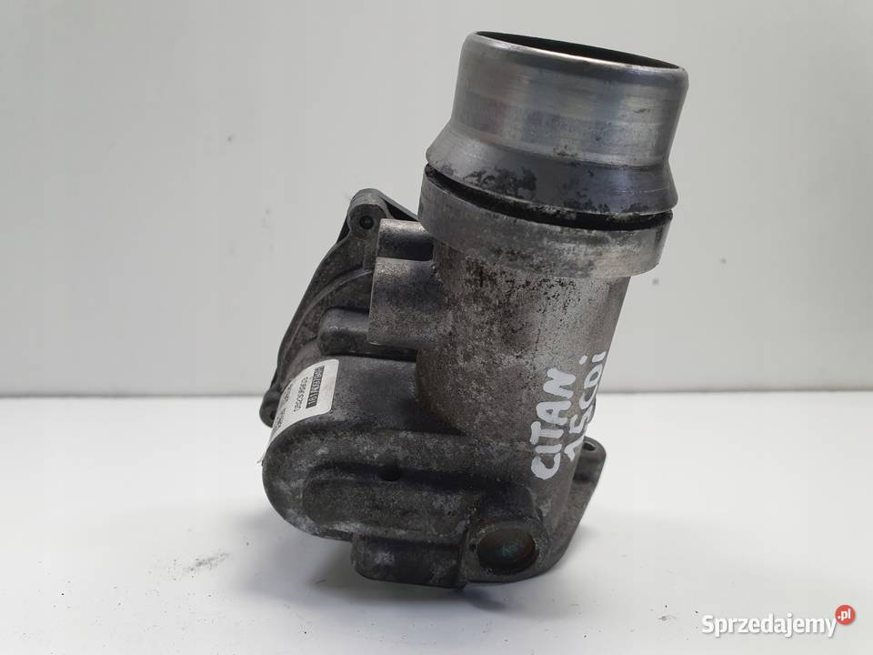 PRZEPUSTNICA Mercedes Citan 15 CDI Chełm