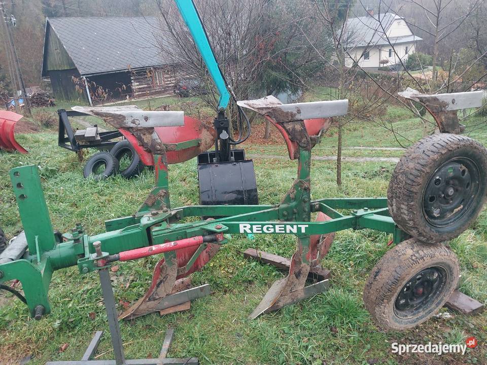Pług regent nieuszkodzony Korczyna