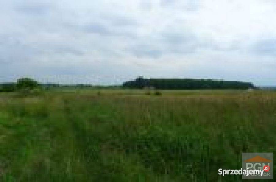 Działka Połchowo 4800m2 4800m2