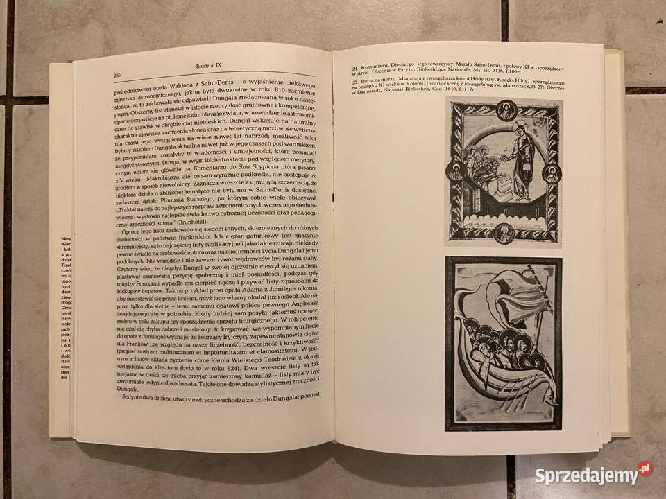 Jerzy Strzelczyk Iroszkoci w kulturze Katowice