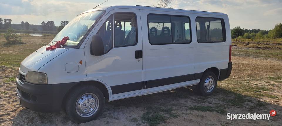 Fiat Ducato 9 osobowy Zbuczyn
