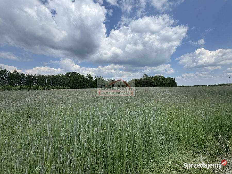 Do sprzedaży grunt Janów 16900m2 Sprzedaż sprzedam