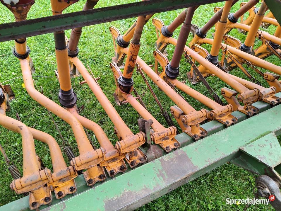 Siewnik zbożowy Amazone D5