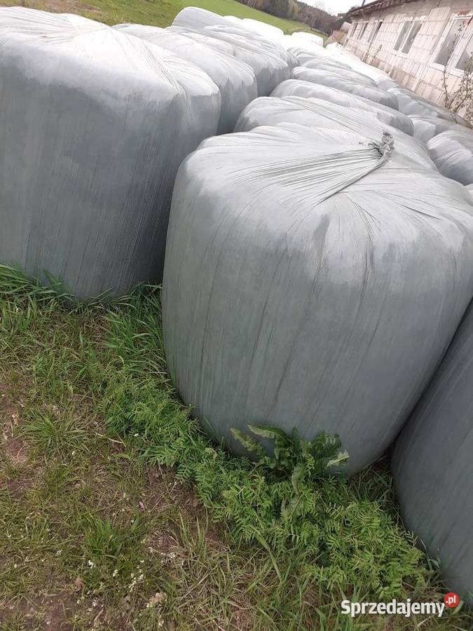 Kosiarka dyskowa Samba SAMASZ rocznik 2020 nieuszkodzony Ostrów Mazowiecka sprzedam