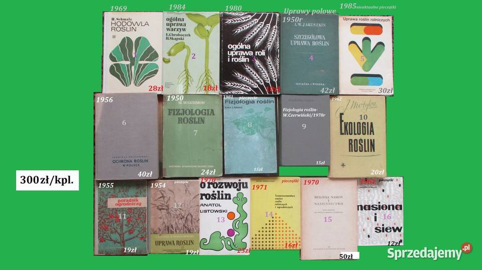 Działka moje hobby działka ogrodnictwo ogród Łódź