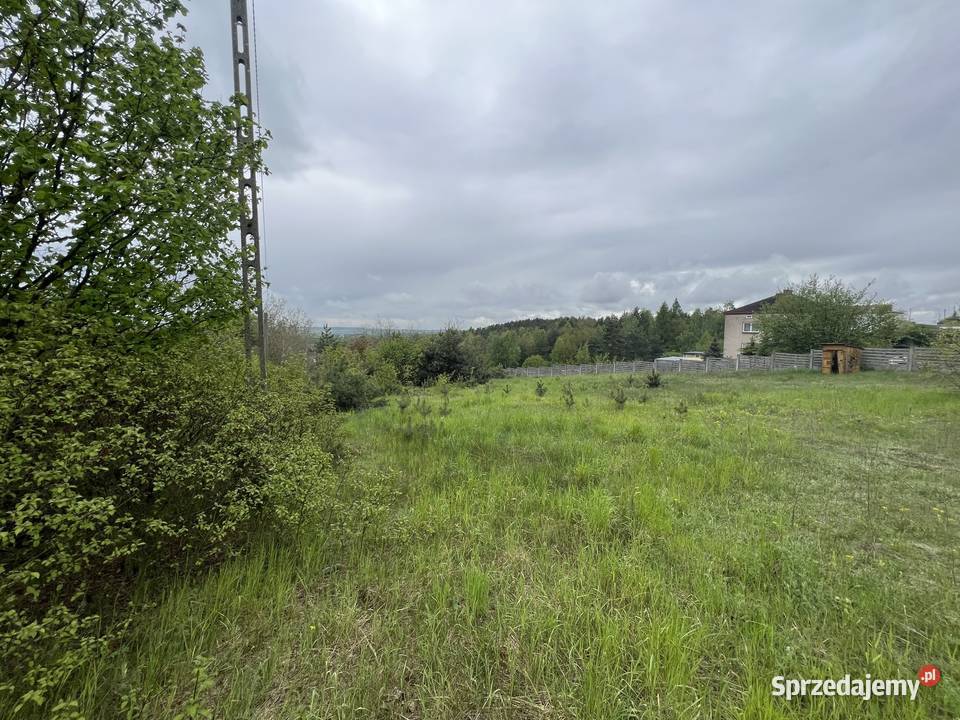 Syndyk sprzeda Udział 13 w nieruchomości w Wolbrom