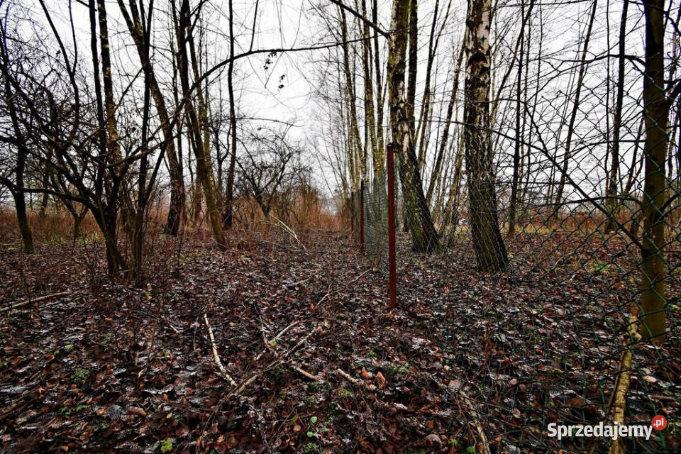 95 arów pod Kazimierzem Dolnym Kazimierz Dolny