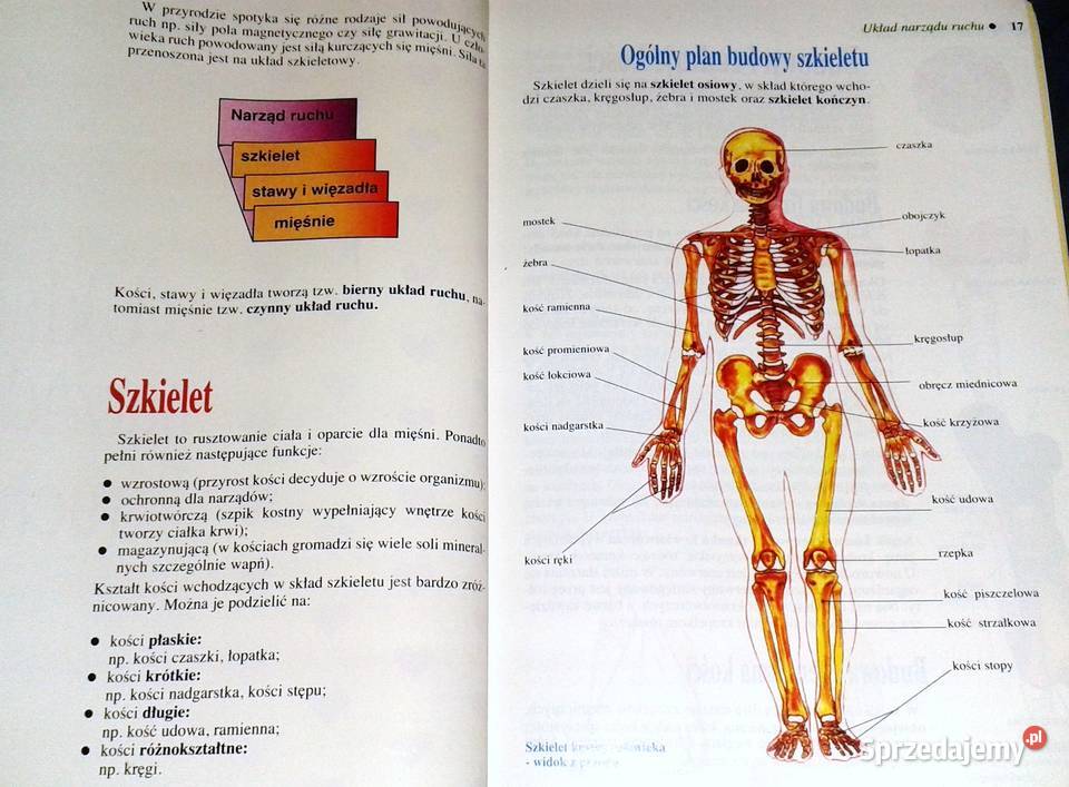 Biologia 7 Wiesława Gołda Jadwiga Wardas Chełm