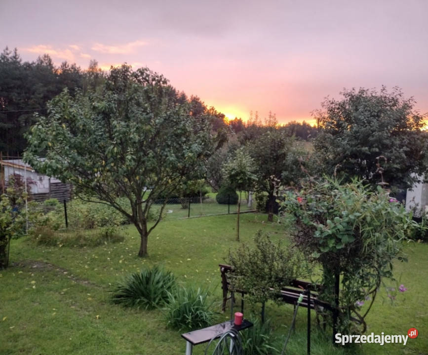 Działka ROD z domkiem 2026 Aleksandrów Kujawski