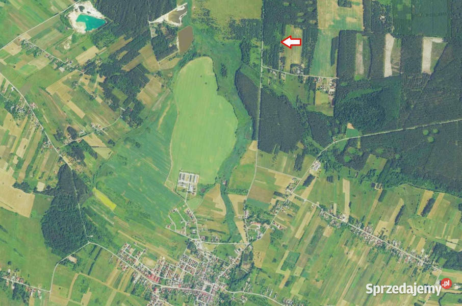 Działki w otoczeniu lasów Szczecno sprzedam